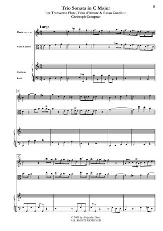 Concerto in D Major (GWV 315)