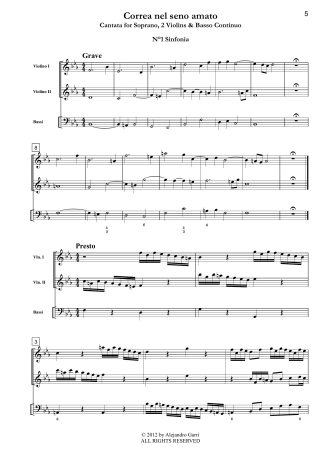 Concerto in B Minor (TWV 51:H2)