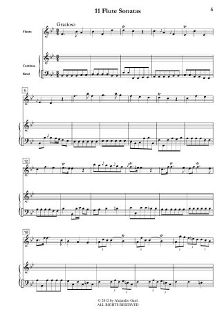 Flute Concerto in G Major