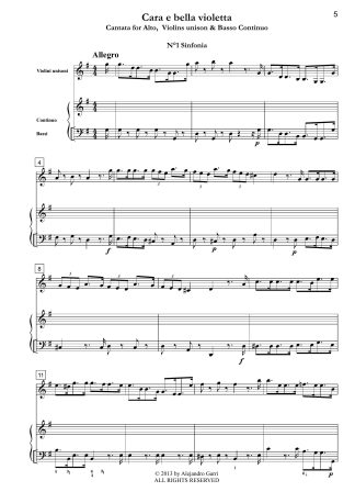 Violin Concerto in G minor (GraunWV C:XIII:89)