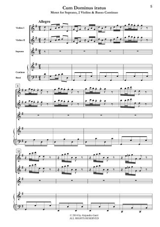 11 Flute SonatasFor Flute & Basso Continuo, Volume 9