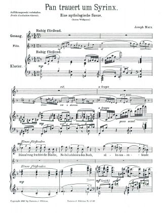 Pan trauert um Syrinx (A. Wildgans) w/ fl. obl.