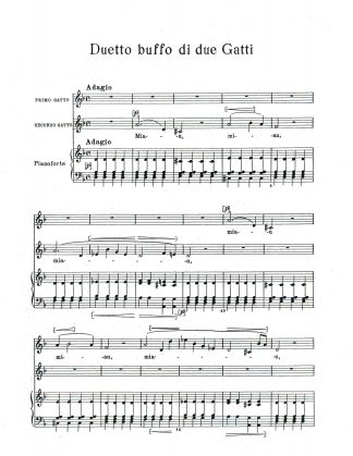 Cat Duet - Duetto buffo di due Gatti