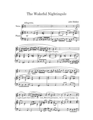 The Wakeful Nightingale (A)