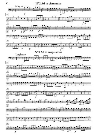 Salve Regina in F Major, Marian antiphon