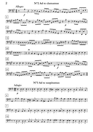 Salve Regina in D Major, Marian antiphon