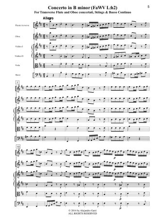 Concerto in B minor (FaWV L:h2)