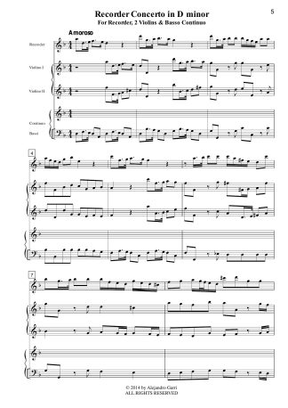 Flute Sonata in D minor N°6