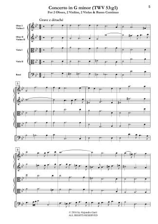 Concerto in G minor (TWV 53:g1)