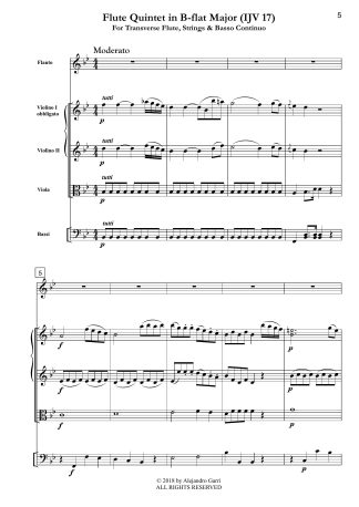 Flute Quintet in B-flat Major (IJV 17)