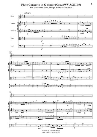 Flute Concerto in G minor (GraunWV A:XIII:9)
