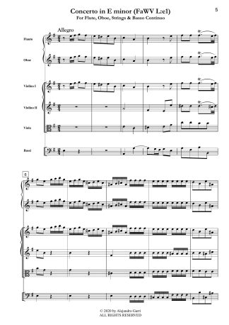 Concerto in E minor (FaWV L:e1)