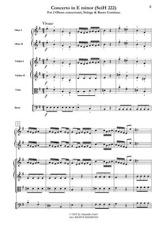 Concerto in E minor (SeiH 222)