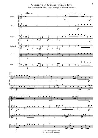 Concerto in G minor (SeiH 238)
