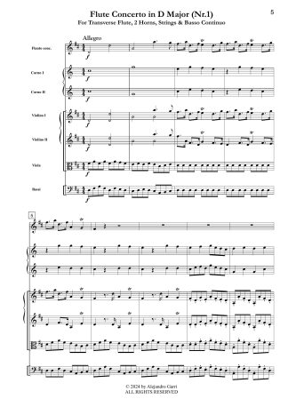 Flute Concerto in D Major (Nr.1)